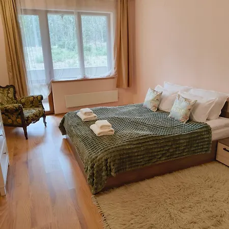 Apartment Evrika 4 *