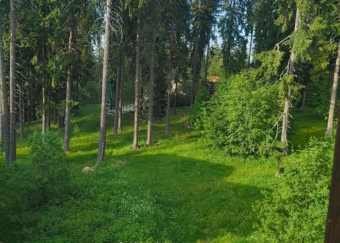 Evrika 4 パンポロボ